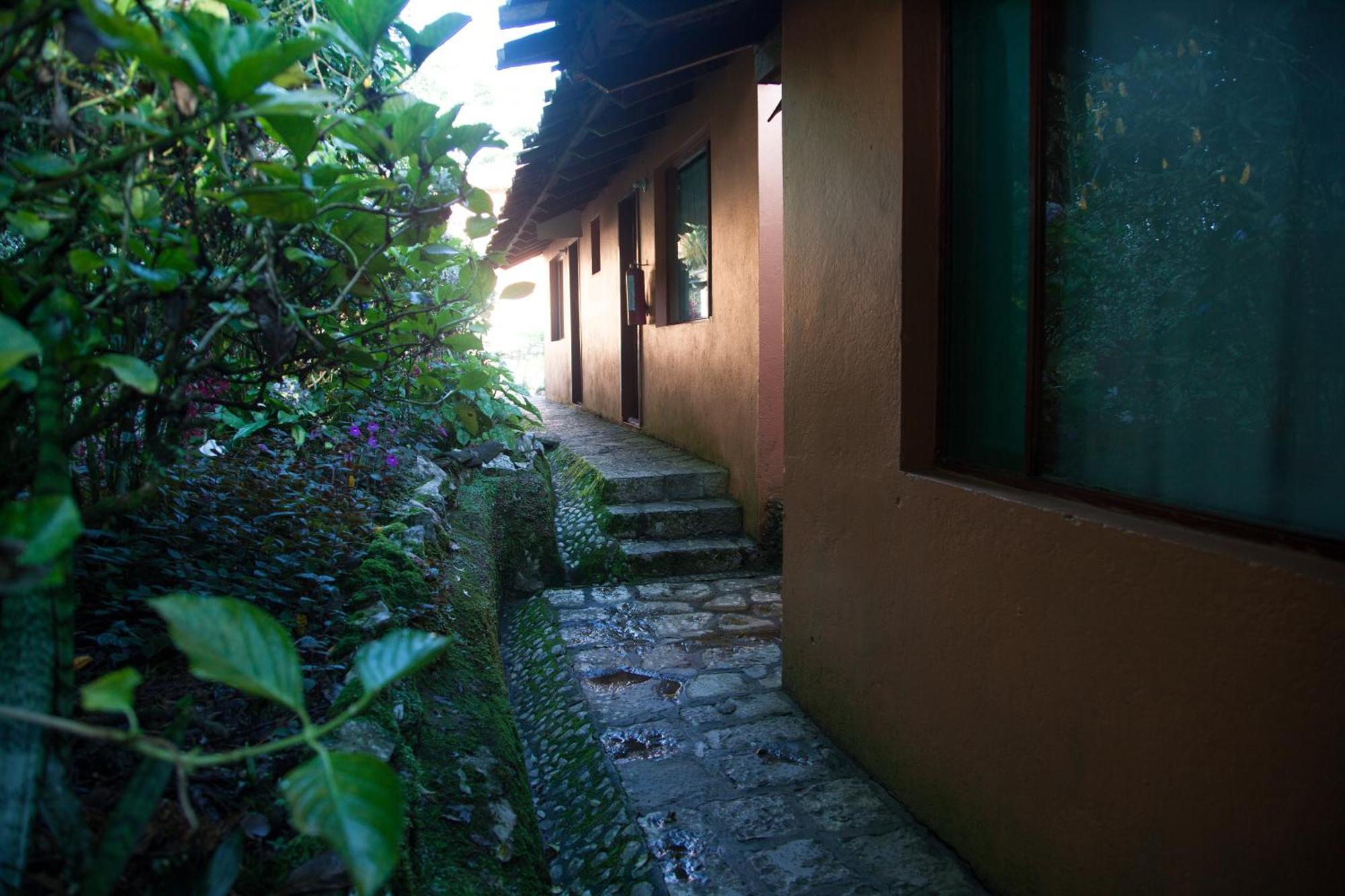Hotel Taselotzin คูเอตซาลันเดลโปรเกรโซ ภายนอก รูปภาพ